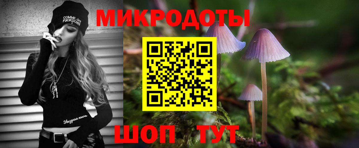 Галлюциногенные грибы Psilocybe Новодвинск